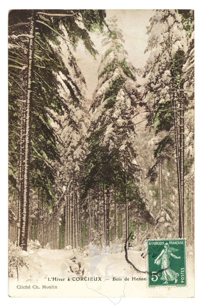 Le bois de Hennefête sous la neige en cartes postales anciennes