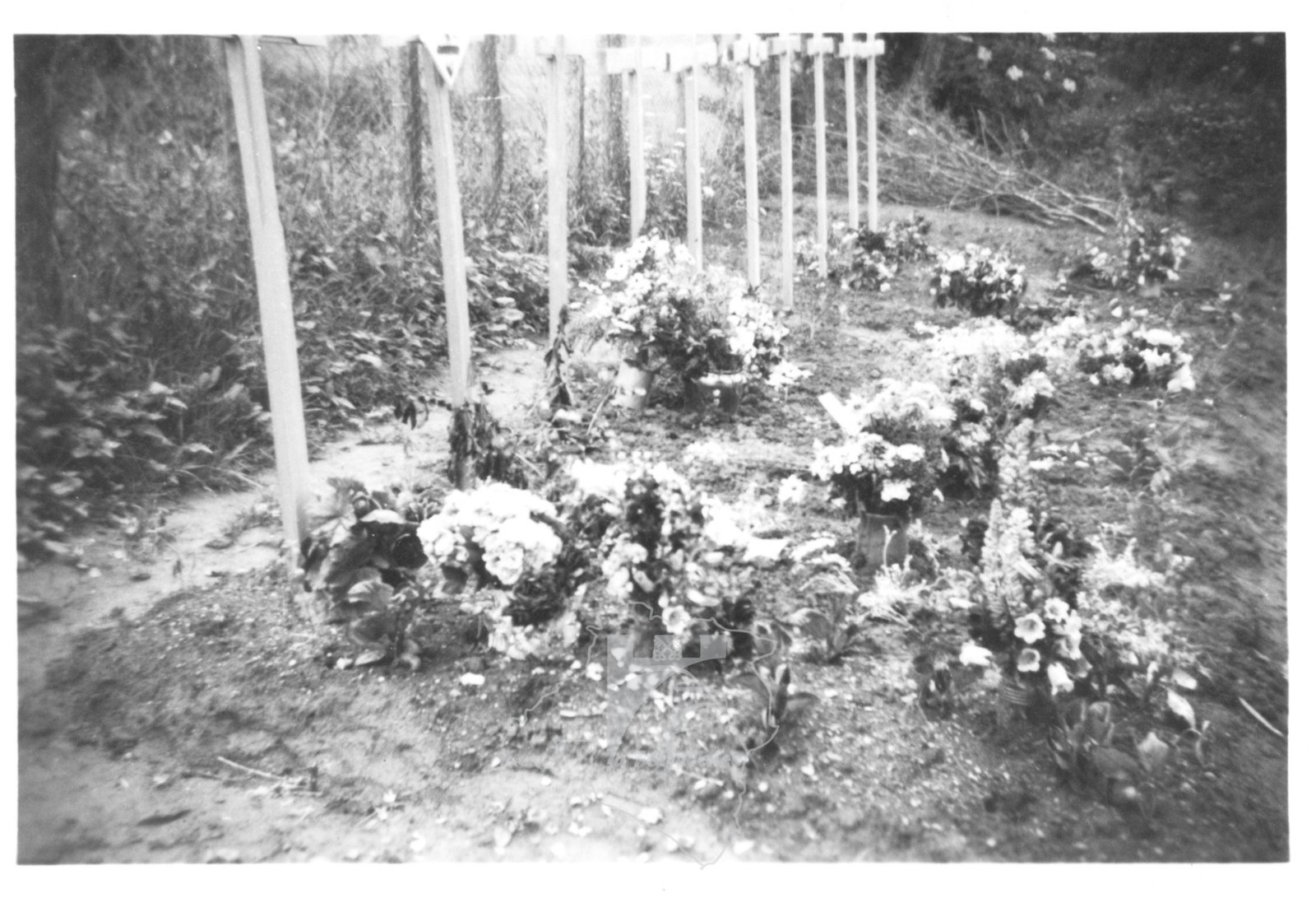 img20250915_10353095_resultat